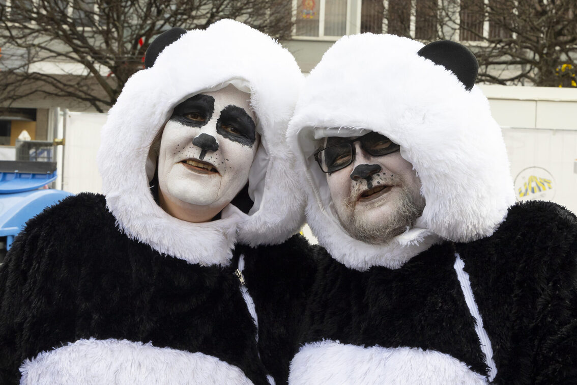 Zwei Menschen in Pandakostümen