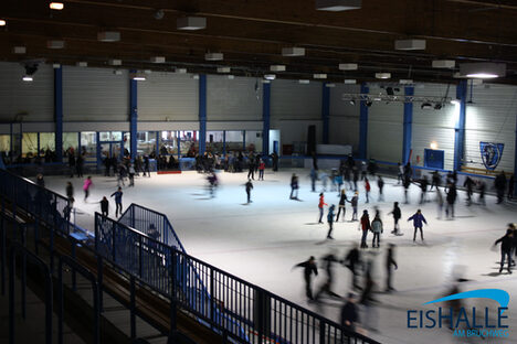 Visitors go around in circles in the the ice rink.