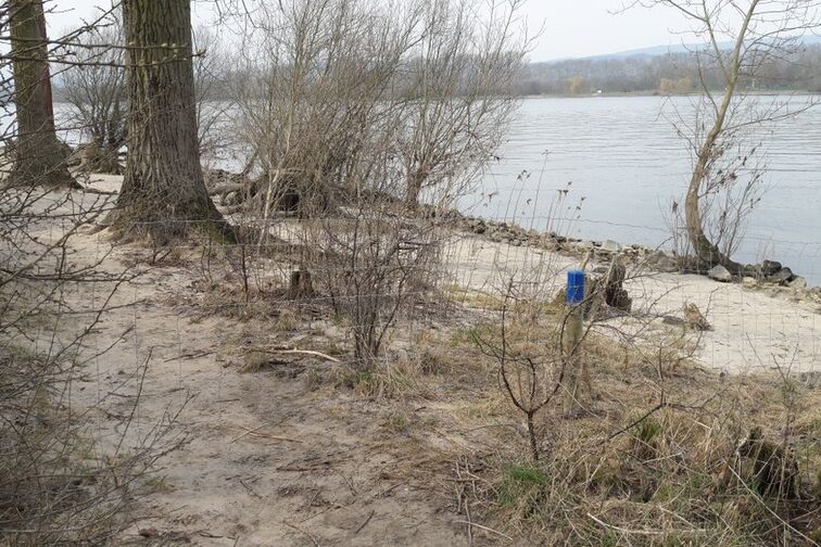 Naturschutzgebiet Mombacher Rheinufer