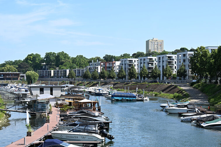 Rheinufer am Winterhafen