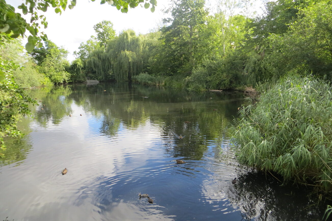 Zu jeder Jahreszeit ist der Lerchenberger Teich einen Besuch wert