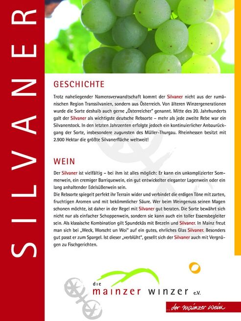 Board of the educational wine trail on the subject of Silvaner