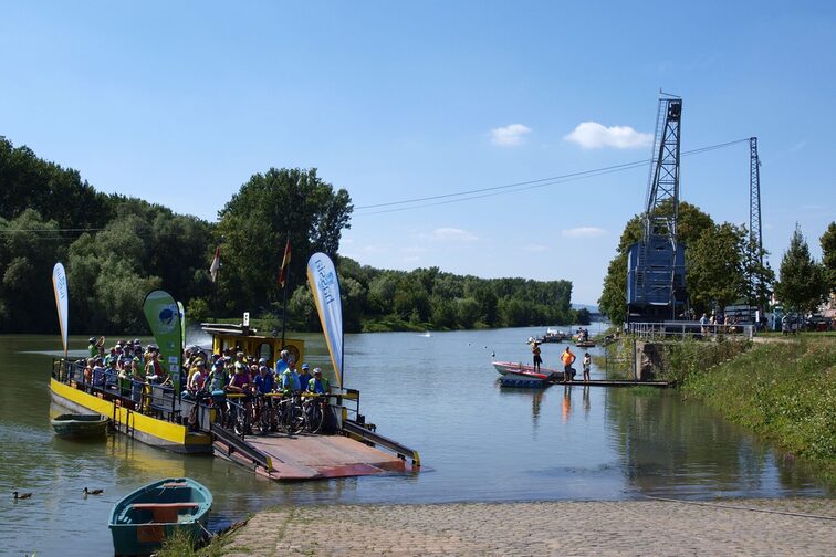 Die Fähre Johanna bringt Besucher zur Nonnenau
