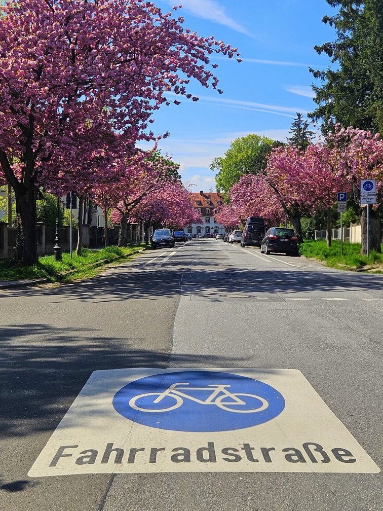 Fahrradstraße Ritterstraße