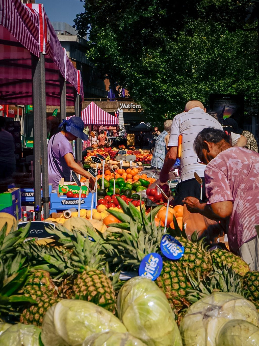Market stalls with colorful displays full of fruit in Watford