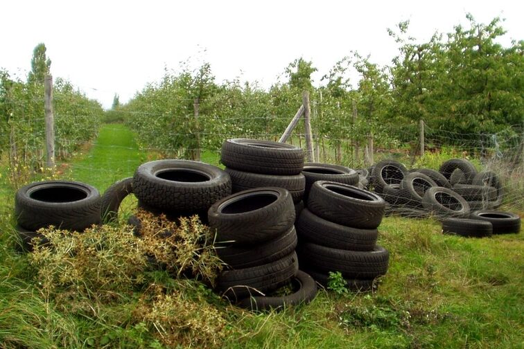 Ein Ärgernis für alle: Autoreifen in der Natur