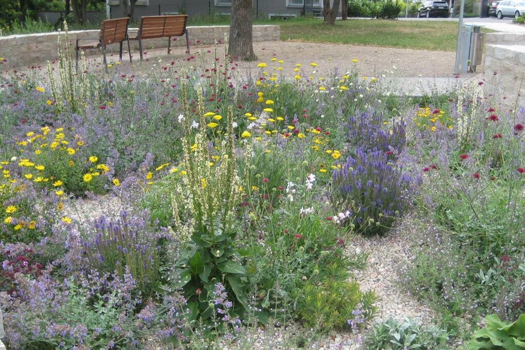 Staudenbeet de la Roche Anlage