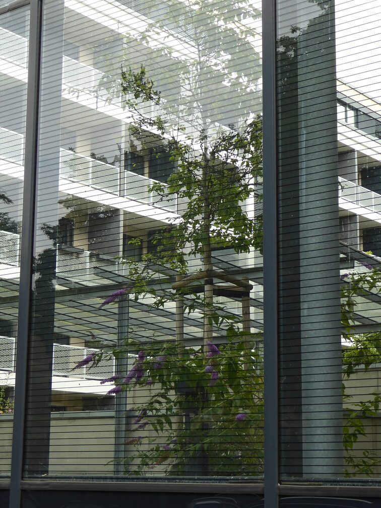 Schallschutzscheibe mit Folienstreifen