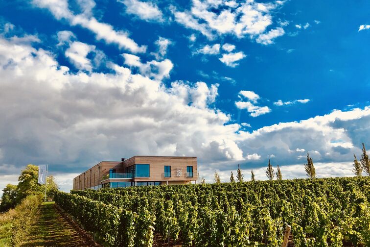 Vinothek mit Weinbergen