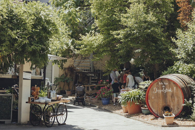 Schöne Atmosphäre im Weingarten