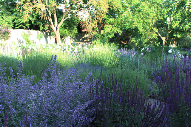 Staudenbepflanzung Hofgarten