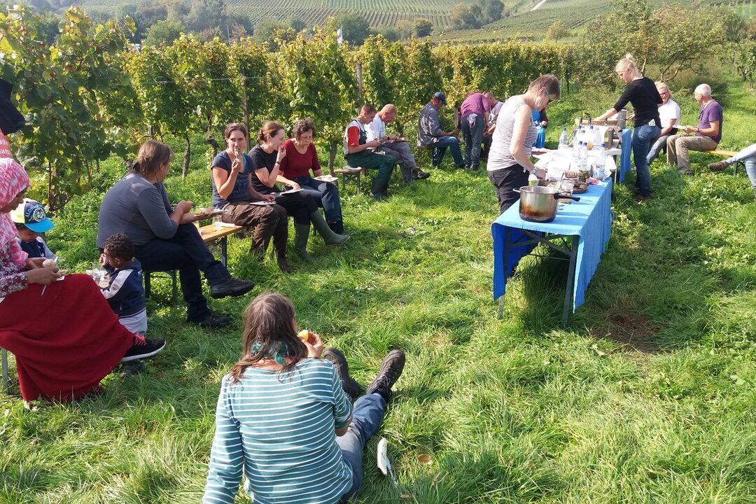 Guests in the vineyard