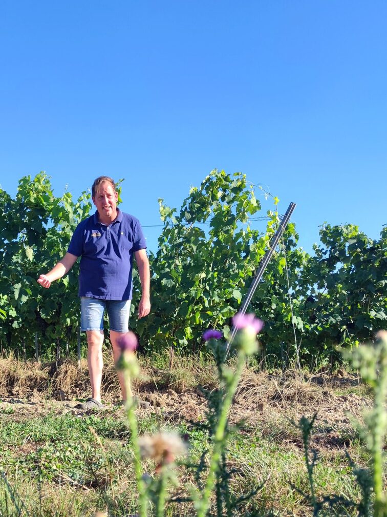 Christoph Lösch in the vineyard