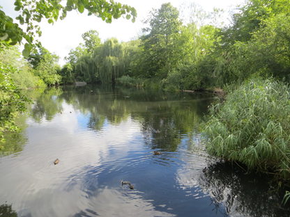 Zu jeder Jahreszeit ist der Lerchenberger Teich einen Besuch wert