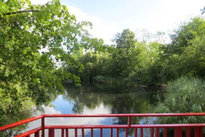 Teich auf dem Lerchenberg © Landeshauptstadt Mainz