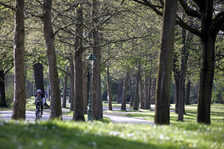 Radfahrer im Grüngürtel