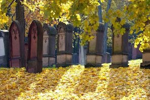 Der Alte Jüdische Friedhof in Mainz. © Gästefüherverband Mainz