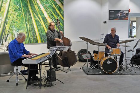 Jazz-Picknick Andreas-Hertel-Trio