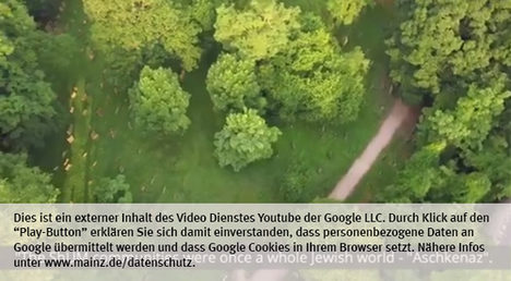 Die Landeshauptstadt Mainz nutzt den Video-Dienst Youtube.  Vor einem Klick auf den Play-Button empfängt Youtube keine Daten und setzt keine Cookies. Nähere Informationen über Youtube finden Sie in den Datenschutzinformationen zu unserem Youtube-Kanal: www.mainz.de/datenschutz