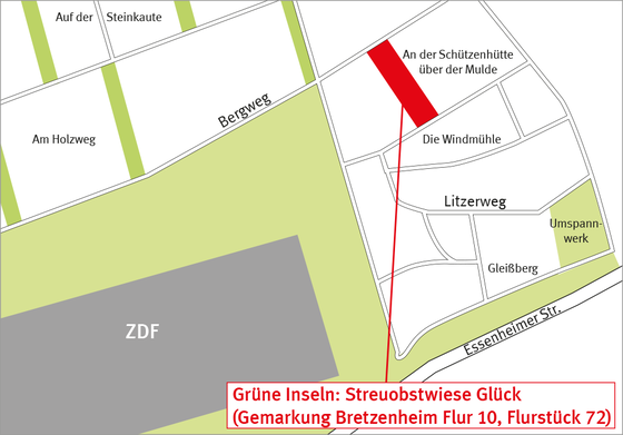 Streuobstwiese Glück (Gemarkung Bretzenheim Flur 10, Flurstück 72)