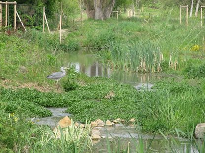 Gonsbach nach der Renaturierung naturnah und voller Grün