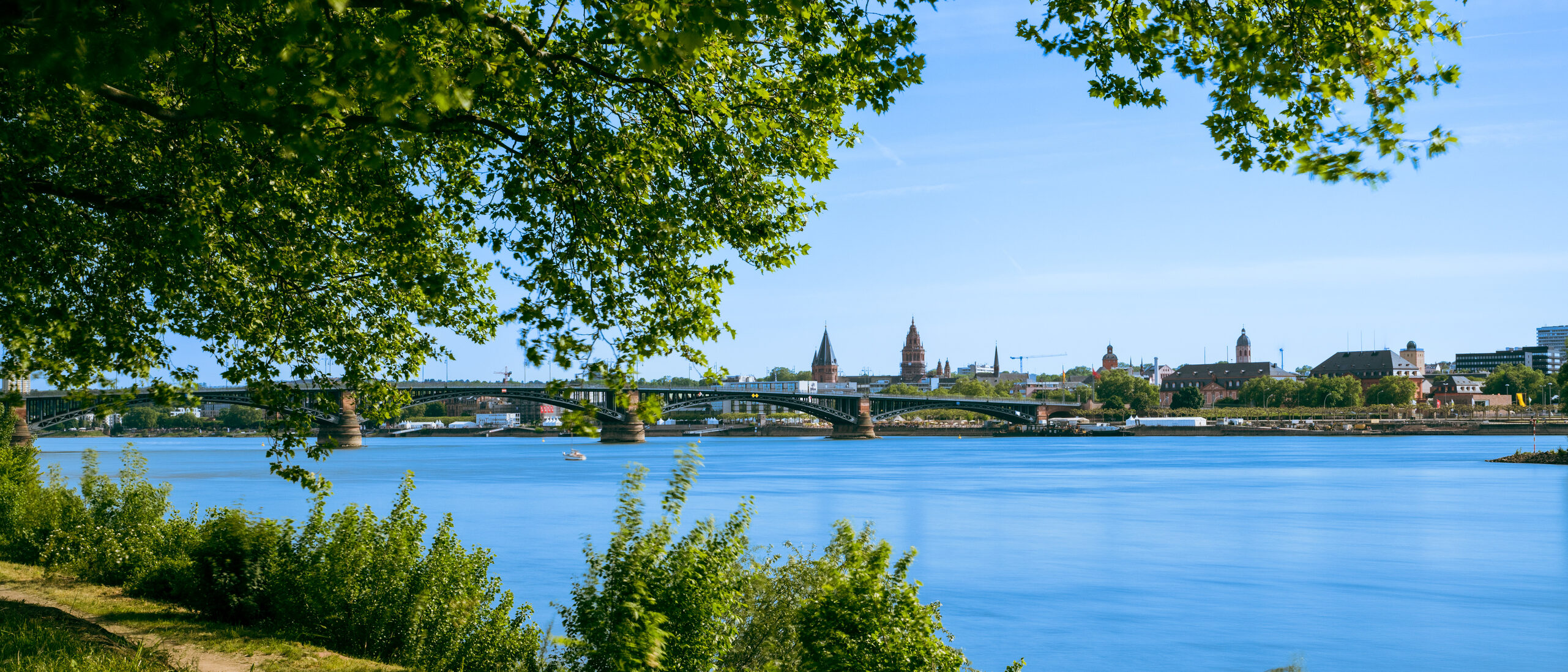 Rhine bank with a view of the Theodor Heuss Bridge and the cathedral