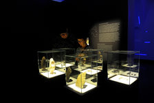 Bildergalerie Mainzer Museumsnacht Im Landesmuseum