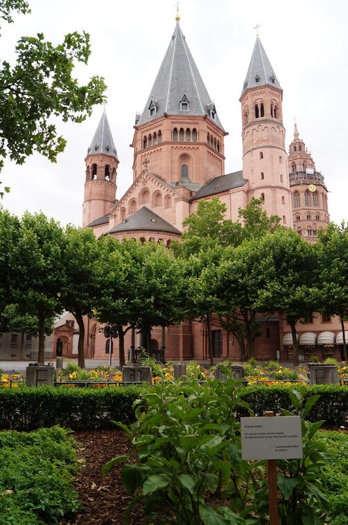 Urban Gardening am Liebfrauenplatz
