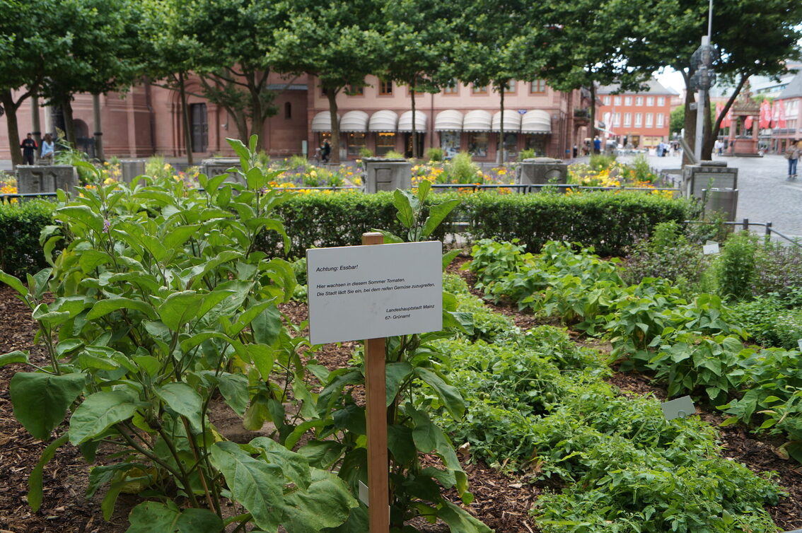Urban Gardening am Liebfrauenplatz