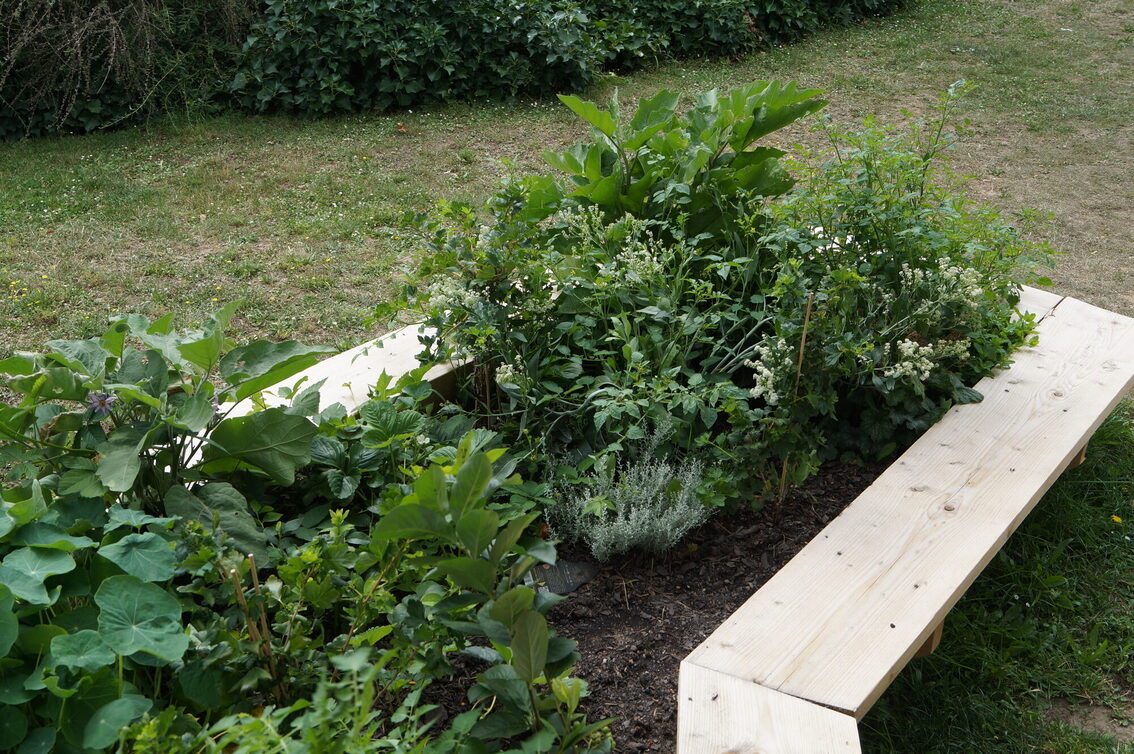 Urban Gardening auf dem Romano-Guardini-Platz