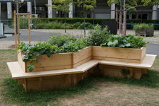 Bildergalerie Urban Gardening Urban Gardening Auch als Sitzgelegenheit zu nutzen: Die Urban Gardening-Kisten auf dem Romano-Guardini-Platz.