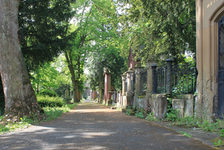 Bildergalerie "Friedhöfe - Hauptfriedhof" Gruftenstraßen: Grabfelder mit zahlreichen Facetten dieser Beisetzungsart.