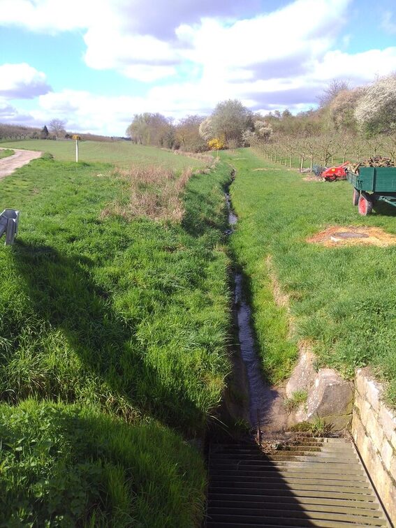 Vorher: Unterer Bereich "Am Elmerberg"