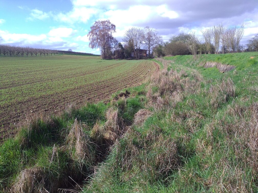 Vorher: Oberer Bereich "Am Alten Wasserwerk"