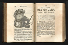 Bildergalerie Gutenberg-Museum "Pressehistorie" The "Journal des sçavans" (1681), published by Denis de Sallo. The French author Denis de Sallo (1626-1669) established Europe's first scientific academic journal. The "Journal des sçavans" was first published on January 5, 1665, the shown issue was published posthumously on July 7, 1681.