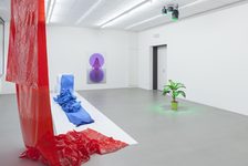 Bildergalerie Kultur Katrin Nicklas Distinct (2017)