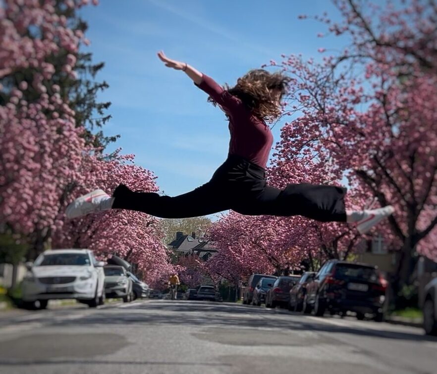 Cherry blossom Mainz