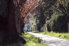 Frühlingsfotos
