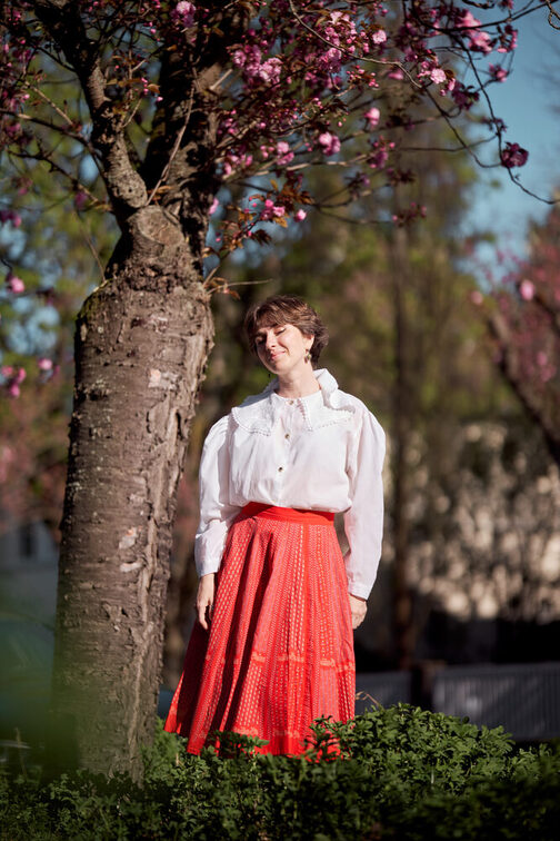 Cherry blossom Mainz