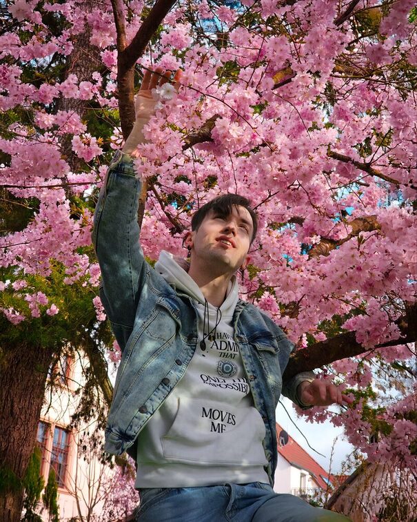 Cherry blossom Mainz