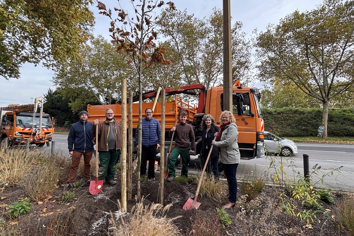 Baumpflanzung des Baum des Jahres als Abschluss der Veranstaltungsreihe