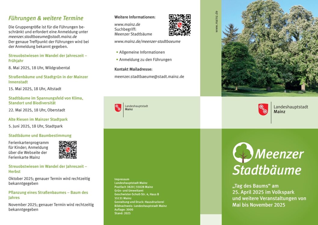 Flyer Meenzer Stadtbäume