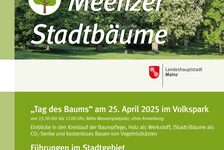 Bildergalerie Meenzer Stadtbäume Plakat zur Veranstaltungsreihe Meenzer Stadtbäume