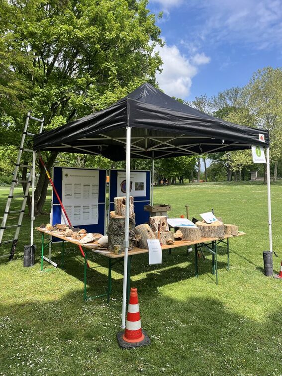 Station Baumkontrolle