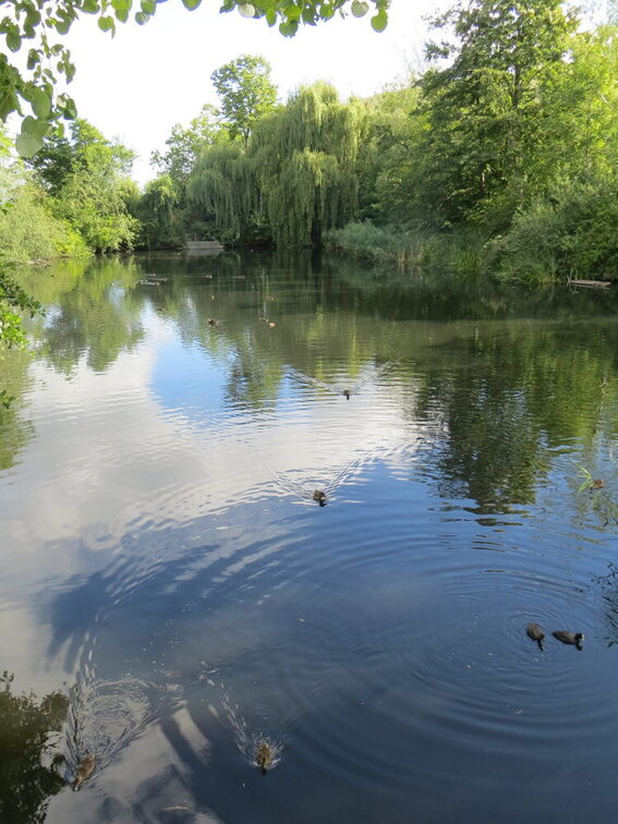 Naherholung Lerchenberg