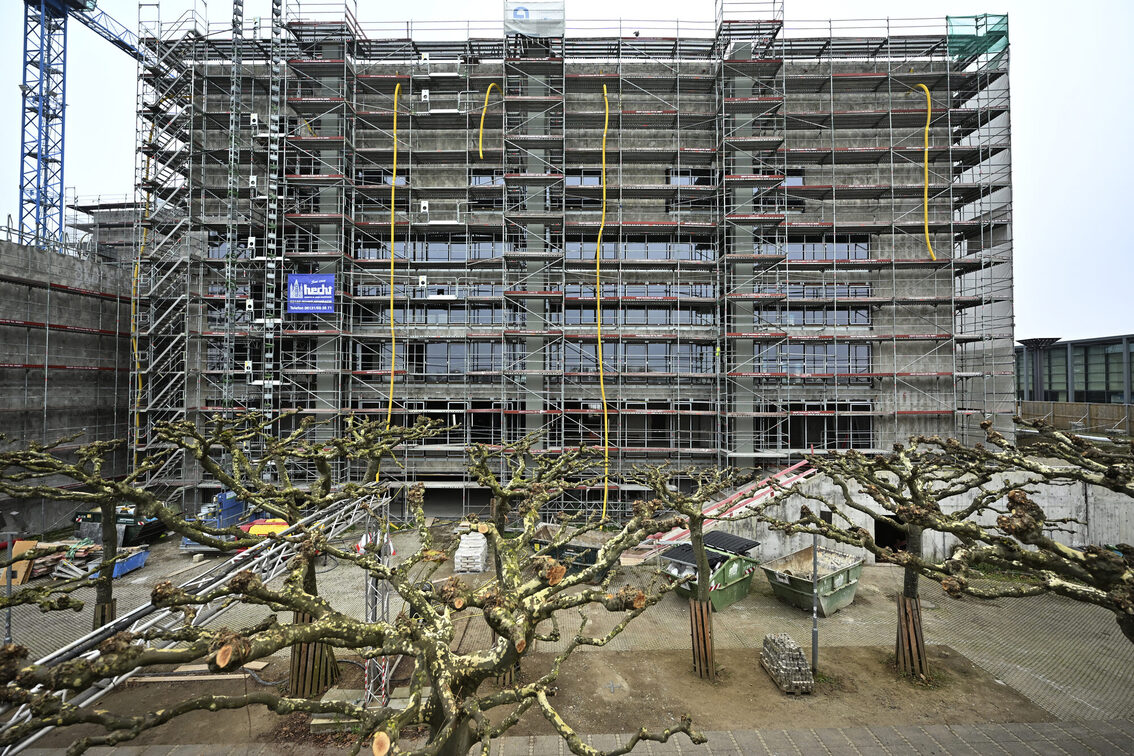 Municipio con impalcature dall'esterno, platani in primo piano.