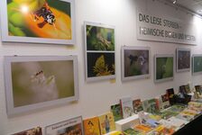 Bildergalerie BienenBücherei Bienen-Ausstellung