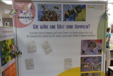 Bildergalerie BienenBücherei Bienen-Ausstellung