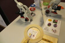 Bildergalerie BienenBücherei Bienen-Ausstellung