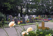 Bildergalerie "Friedhöfe - Marienborn"